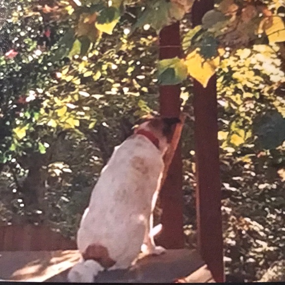 Meet Your Posher - Picture 5 of 8